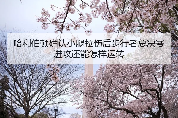 哈利伯顿确认小腿拉伤后步行者总决赛进攻还能怎样运转