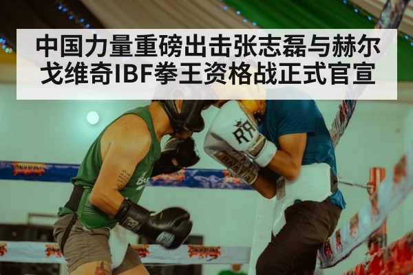 中国力量重磅出击张志磊与赫尔戈维奇IBF拳王资格战正式官宣