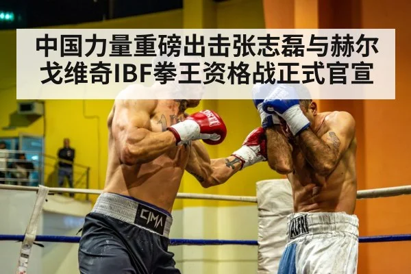 heavyweight fight